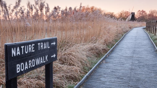 Nature trail sign by the boardwalk with windpump in background